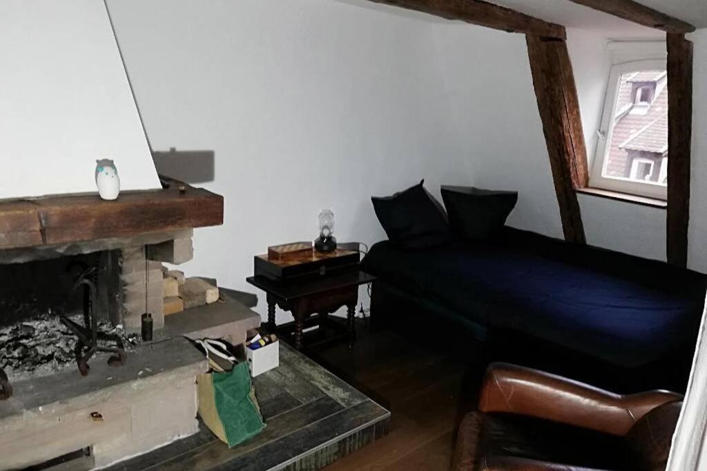 Apartamento La Chaumiere Estrasburgo Exterior foto